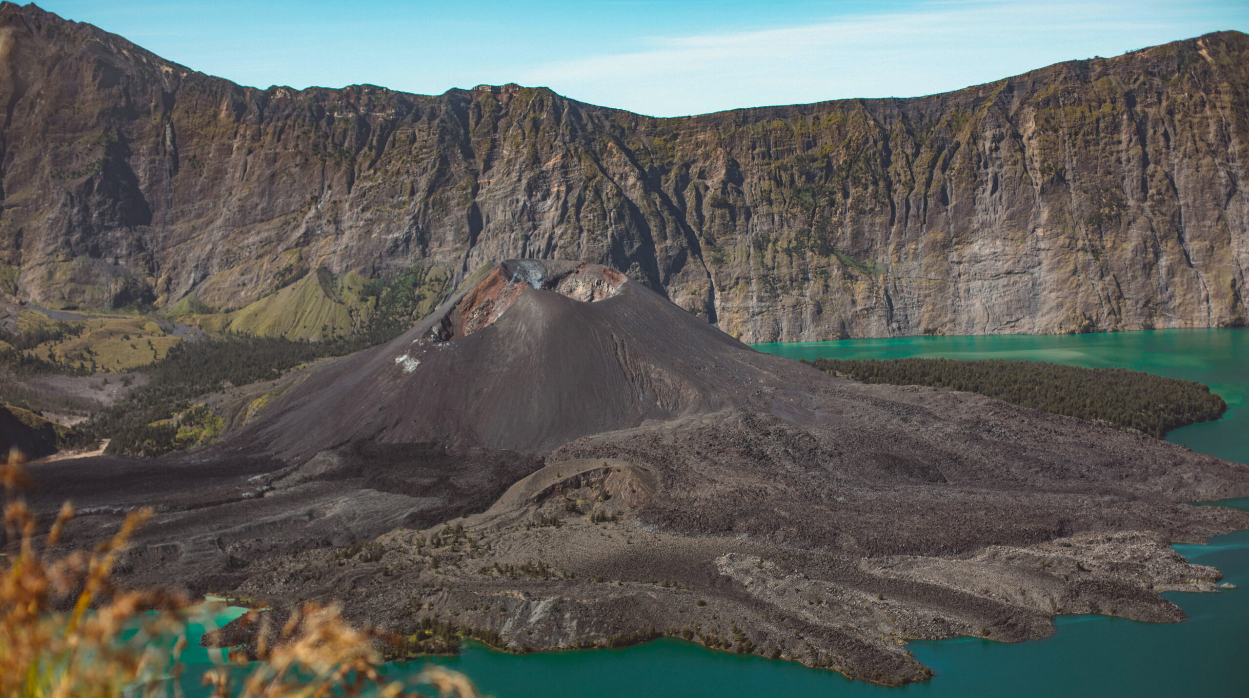 pexels roman odintsov 4552428